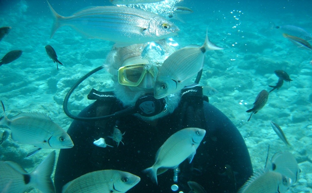 Bodrum Dalış Turu / 2025