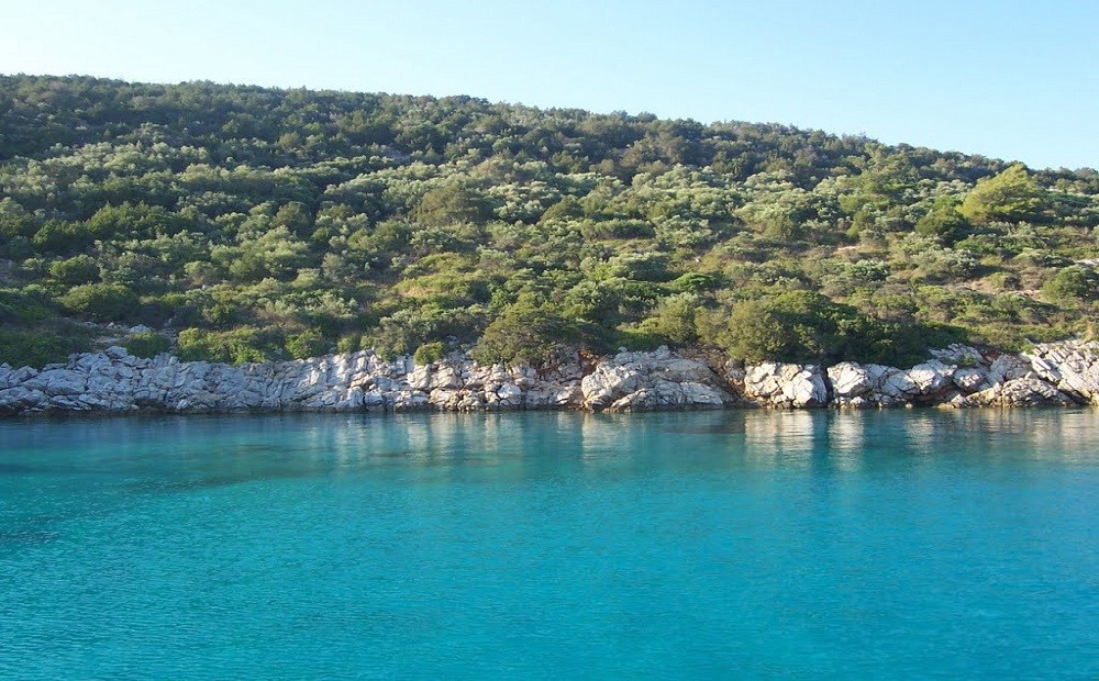 Bodrum Orak Adası Tekne Turu / 2025